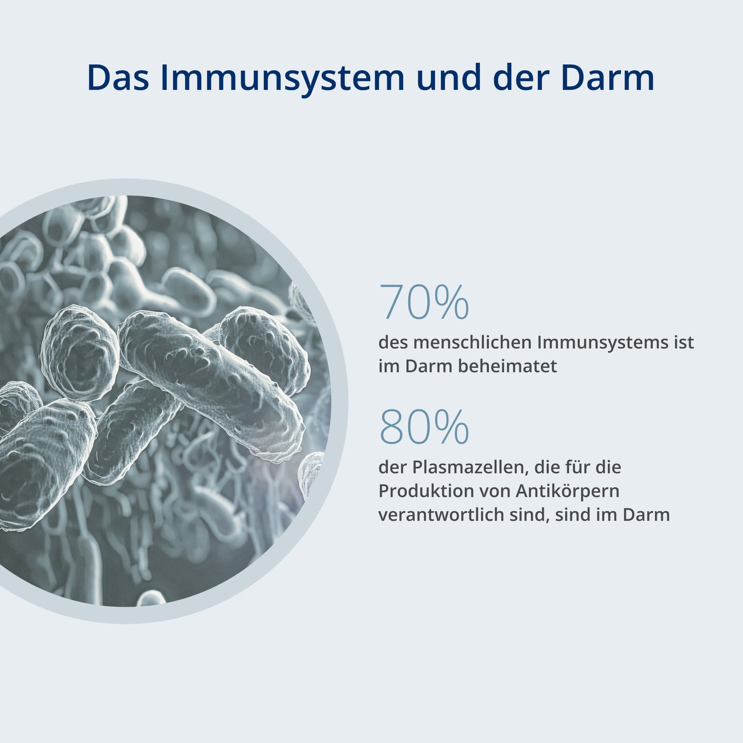das Immunsystem und der Darm
