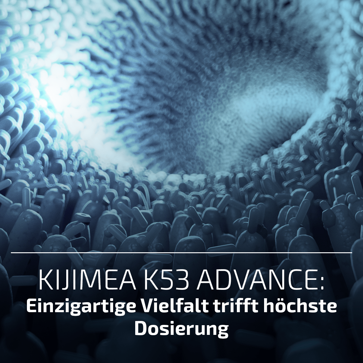 Test - Kijimea K53 Advance