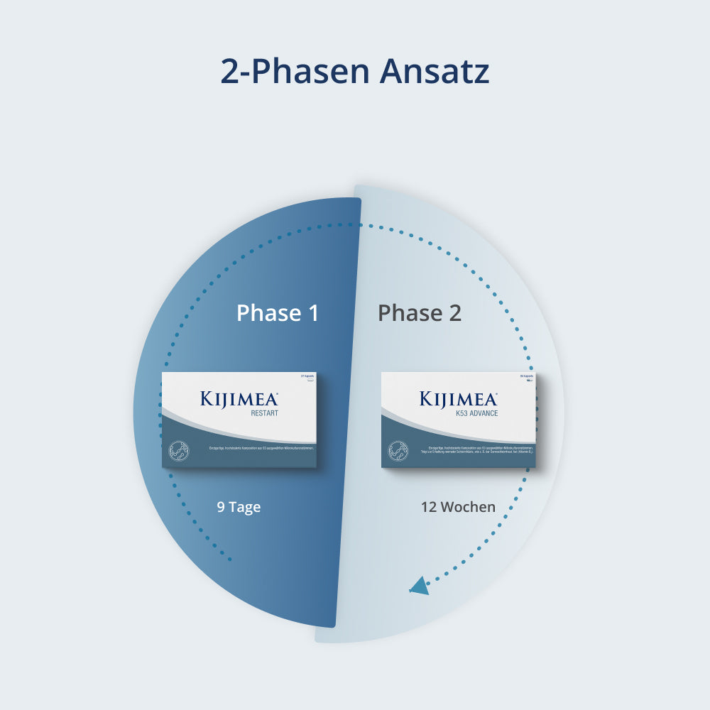 2 Phasen Ansatz